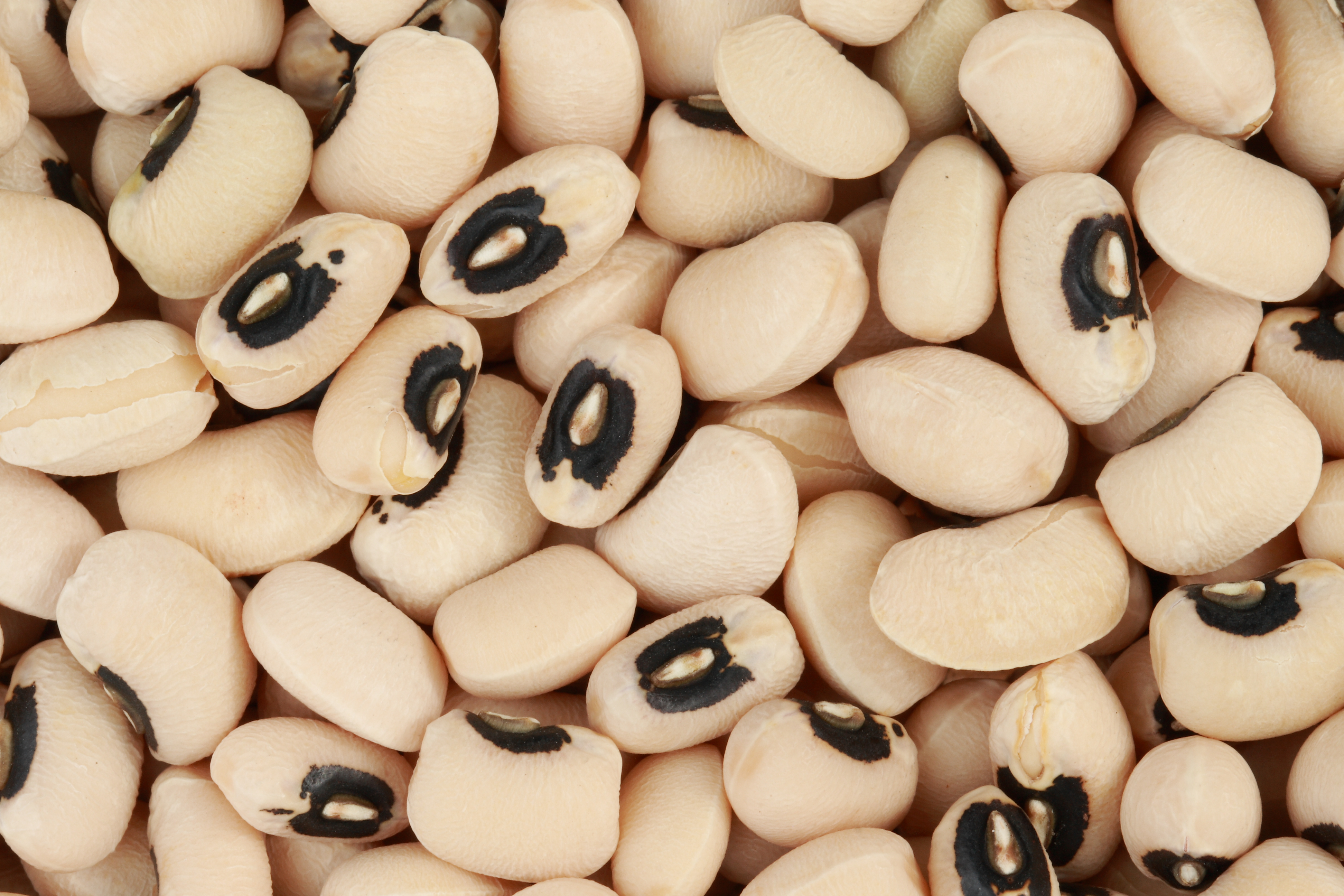 White Cow Pea - 800 g